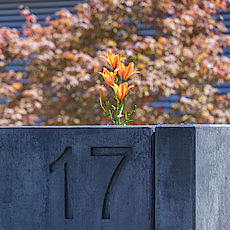 Winkelstütze Farbe Anthrazit mit Aussparung