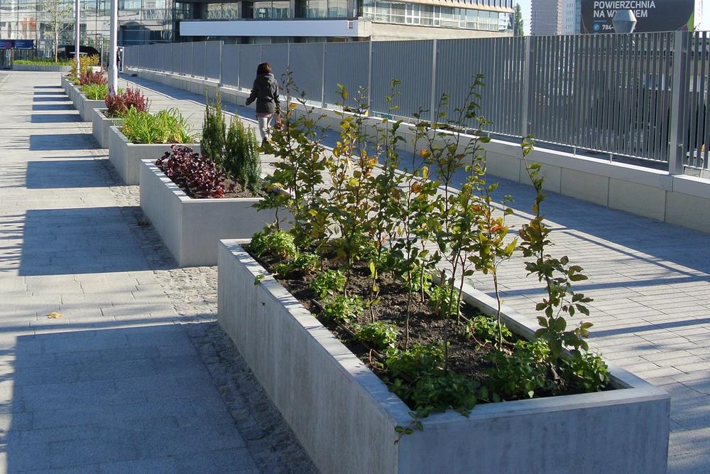 Rząd doniczek z kwiatami wzdłuż ulicy