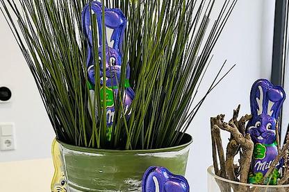 [Translate to Polski:] Ostergesteck mit Schokohasen