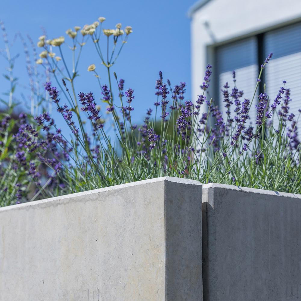 [Translate to Polski:] Blumenbeet mit Betoneinfassung